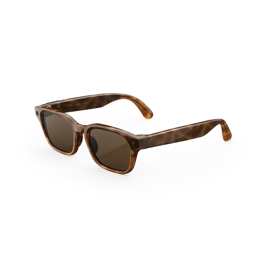 Catalog-Manager-AdventTortoiseBrown.webp