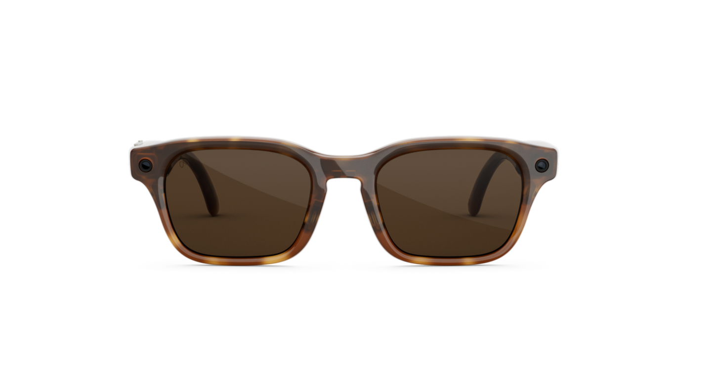 Adventurer_Havana_Brown_MTA_FD2.webp