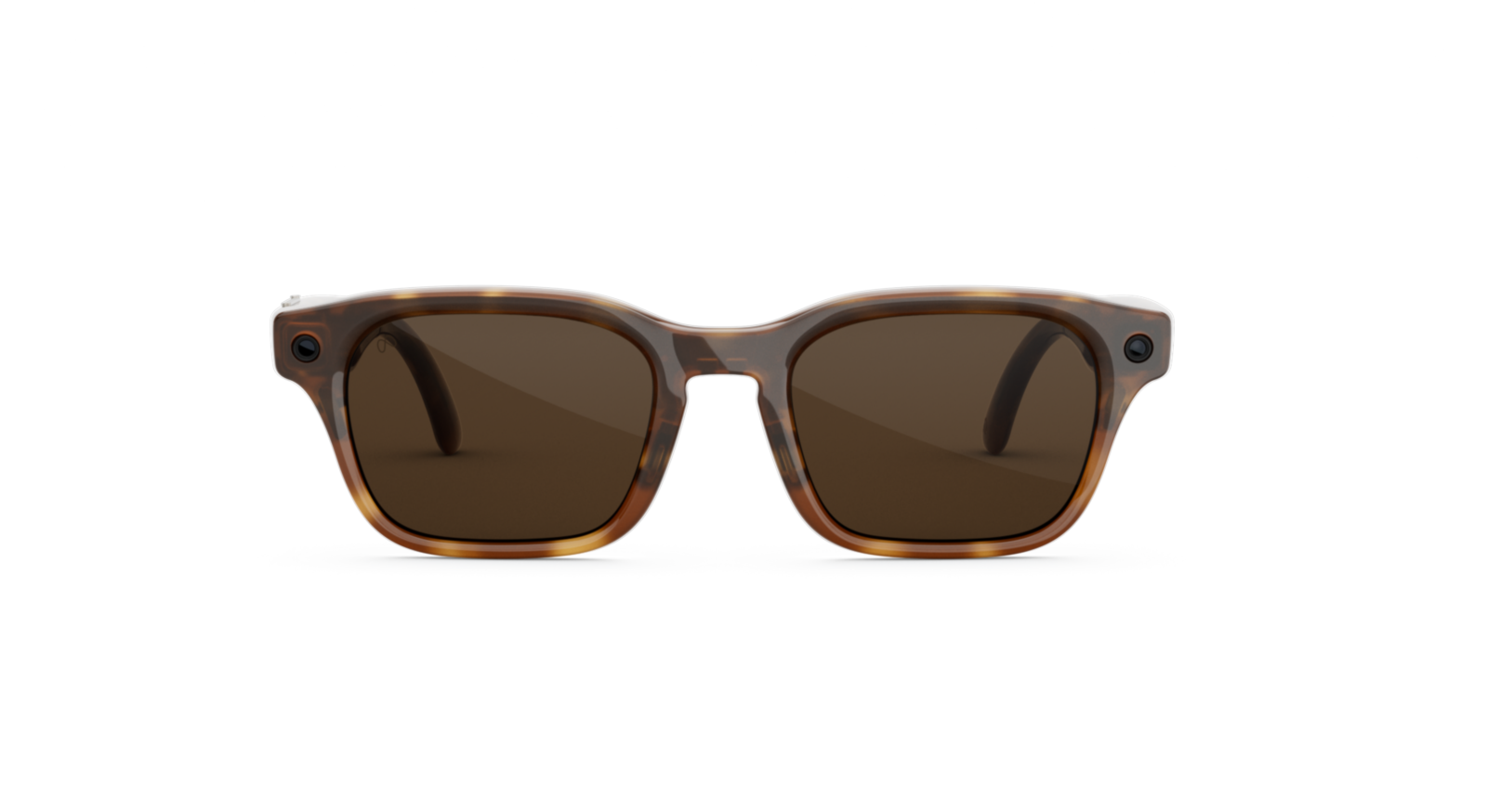 Adventurer_Havana_Brown_MTA_FD2.webp