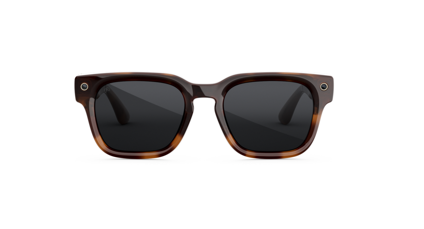 Fury_Mahogany_Grey_MTA_FD2.webp