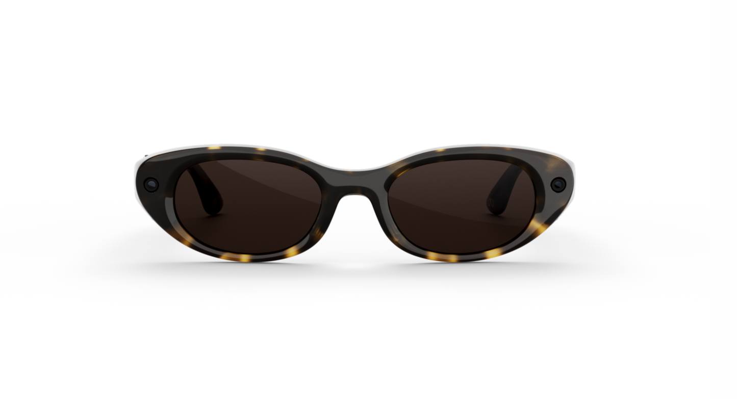Starfire_Dark Havana_Chocolate_MTA_FD2.webp
