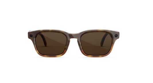 Adventurer_Havana_Brown_MTA_FD2.webp
