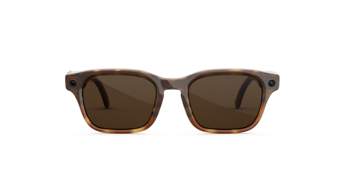 Adventurer_Havana_Brown_MTA_FD2.webp